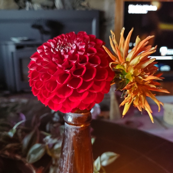 Meet your Posher, Karen - Picture 2 of 2